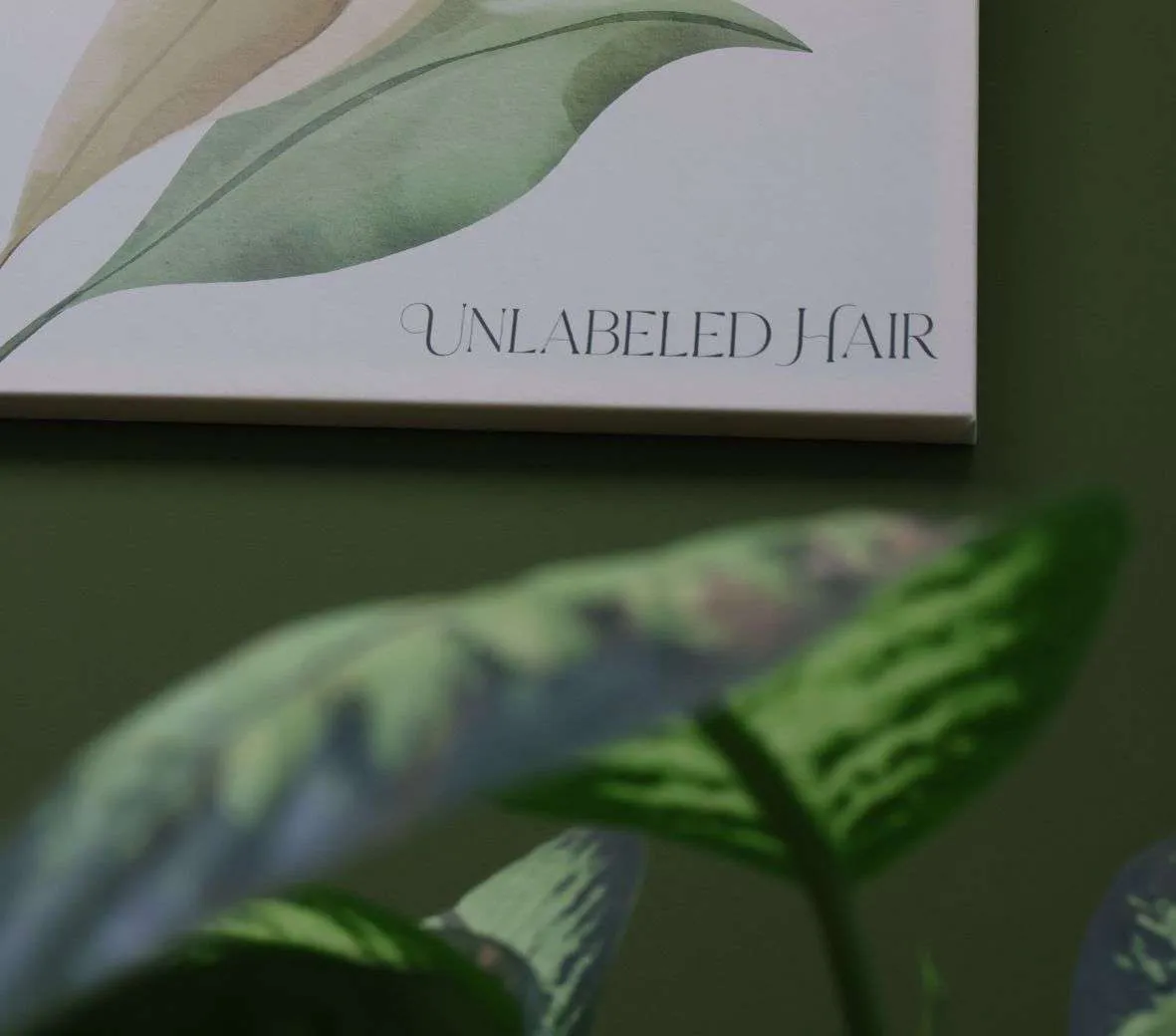 Botanischer Blick in den Unlabeled Hair Salon